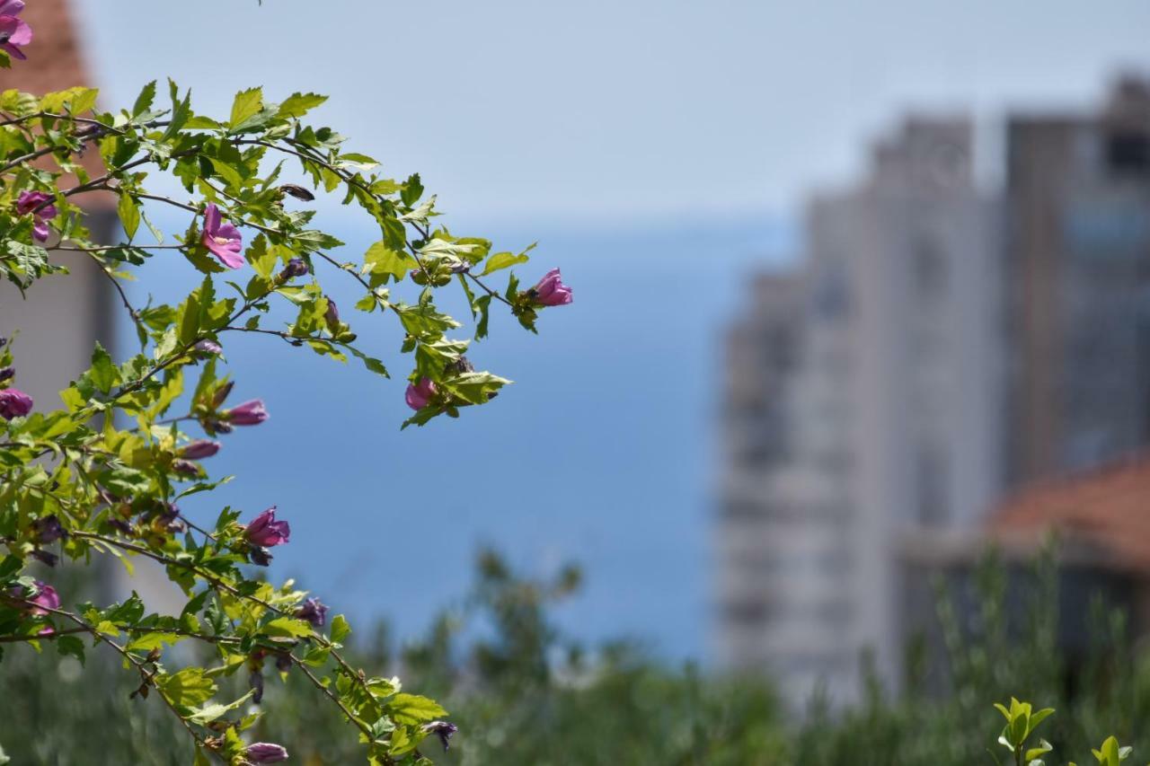 ספליט Apartment Neyra מראה חיצוני תמונה